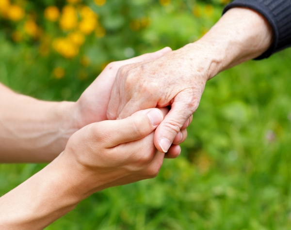 Health Care Services Health Care Services