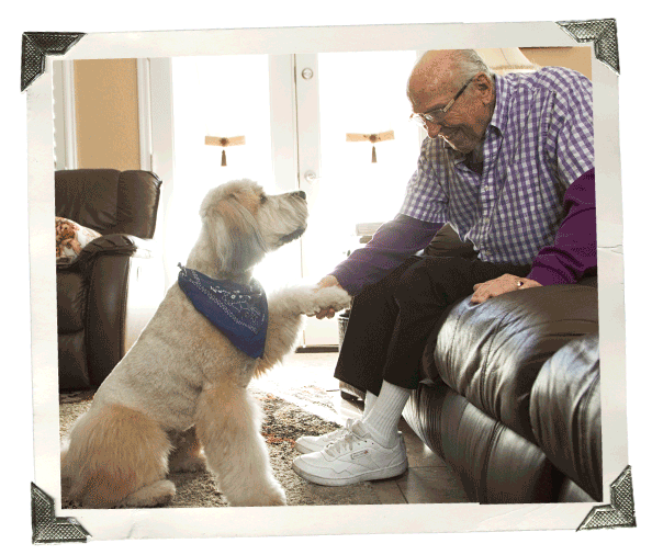 webpage-art-sunny-dog-bill At Home Pet Therapy